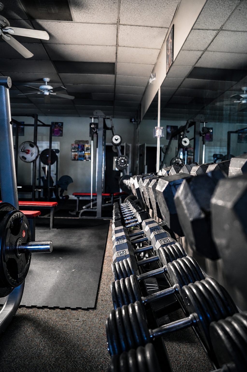 Dumbbell rack in a low-key training floor — fitness photography