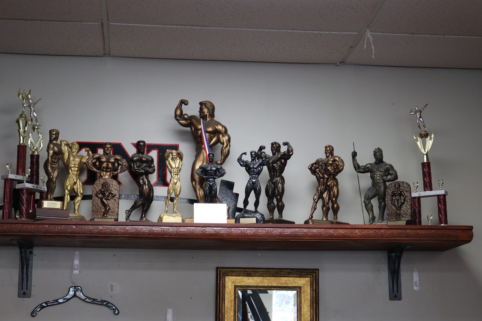 Competition trophies on display — fitness photography